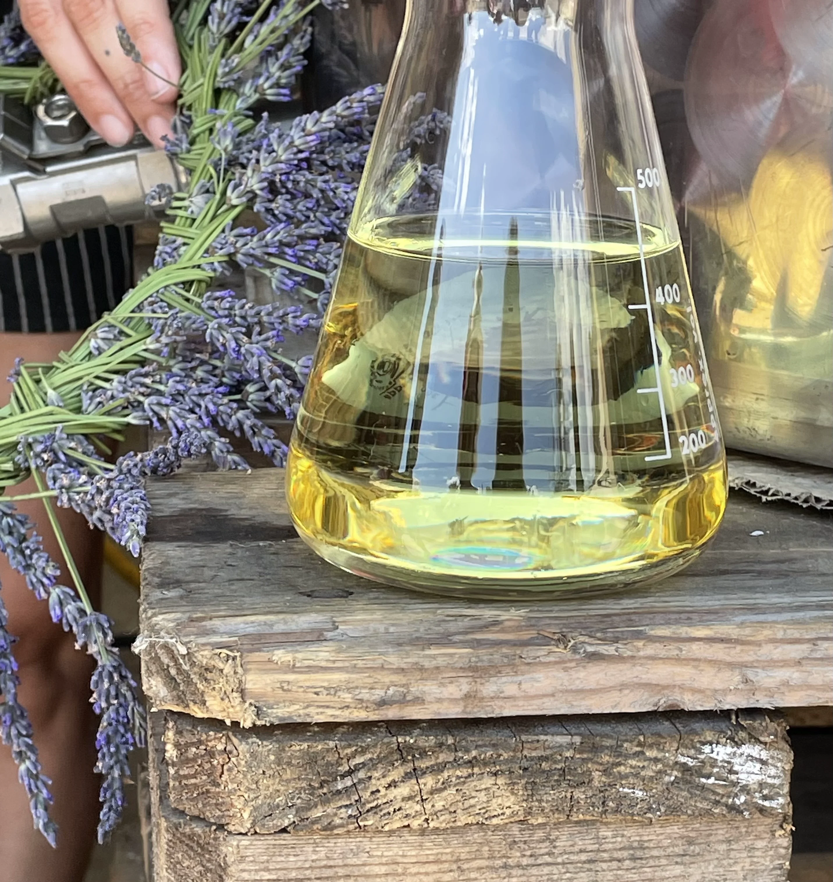 Villaroma Impression — Natur & Pflanzen