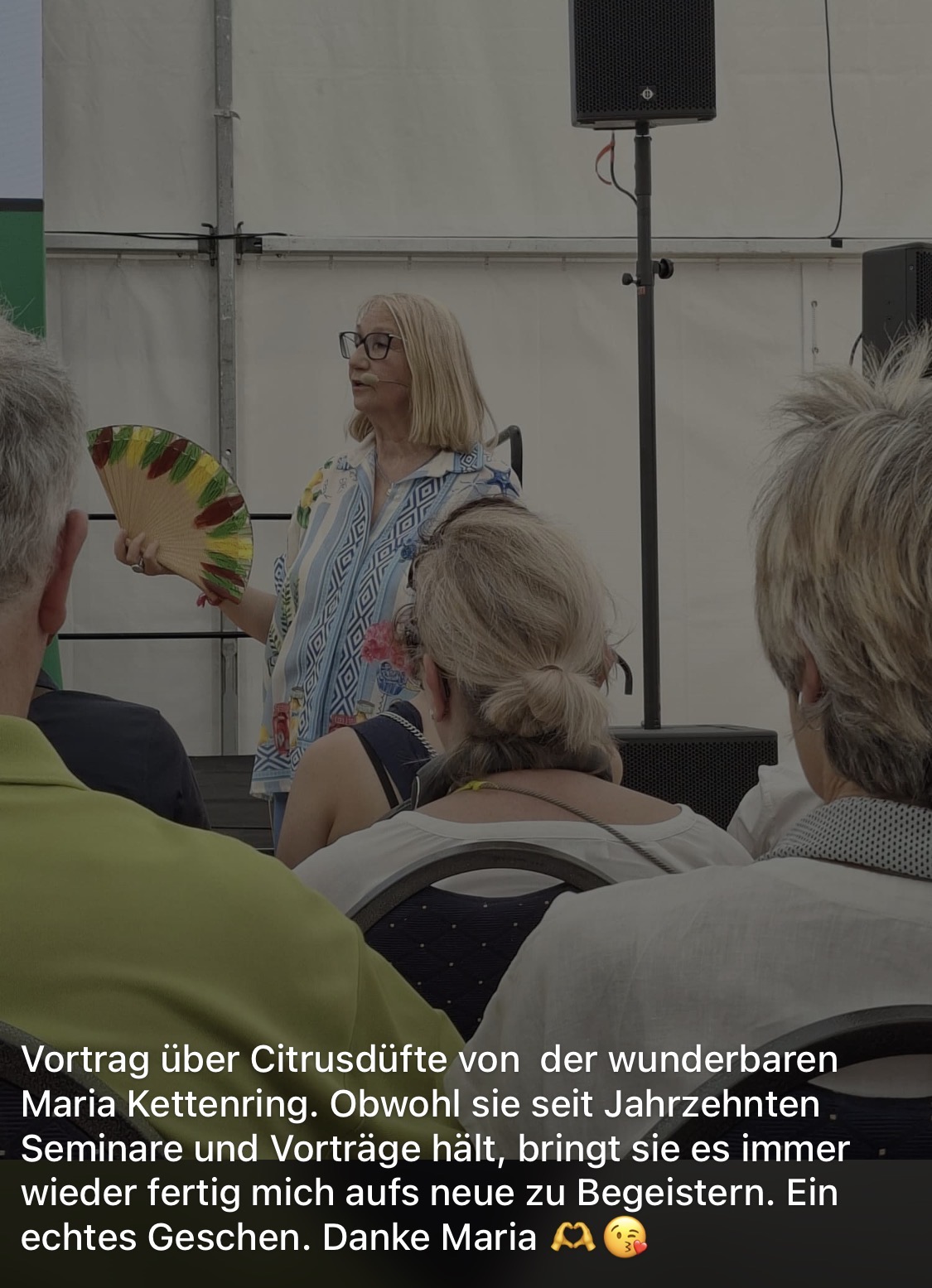Rosenfest Eindruck 1